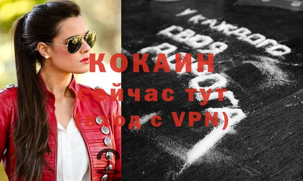 дживик Инсар