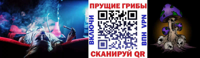 Купить закладки  Севск  Псилоцибиновые грибы GOLDEN TEACHER 